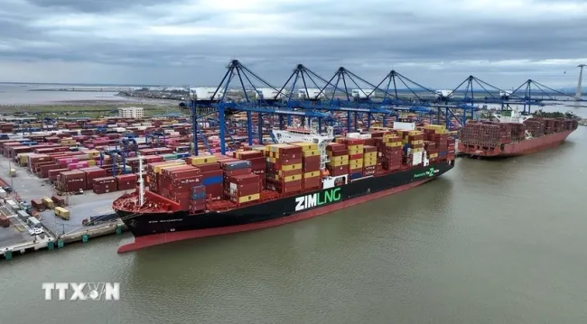Import and export goods from a port of Viet Nam (Photo: VNA).
