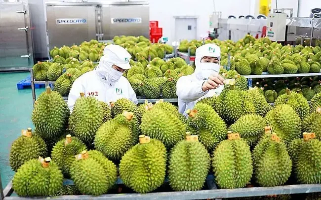 Kỳ vọng xuất khẩu nông lâm thủy sản năm 2026 đạt từ 73 - 74 tỷ USD