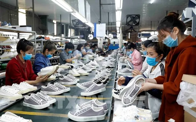 Production of footwear for export to the European market at Ha Tay Chemical Textile Co., Ltd. (Photo: VNA)