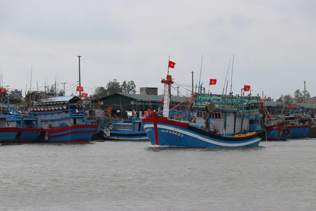 Quang Ngai now has 4,846 registered vessels, including nearly 3,000 over 15 metres long, while smaller vessels under 15 metres for nearshore fishing are gradually being reduced. (Illustrative photo: VNA)