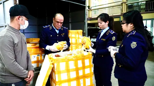 Phát hiện số lượng lớn chân gà rút xương, gà ủ muối không rõ nguồn gốc