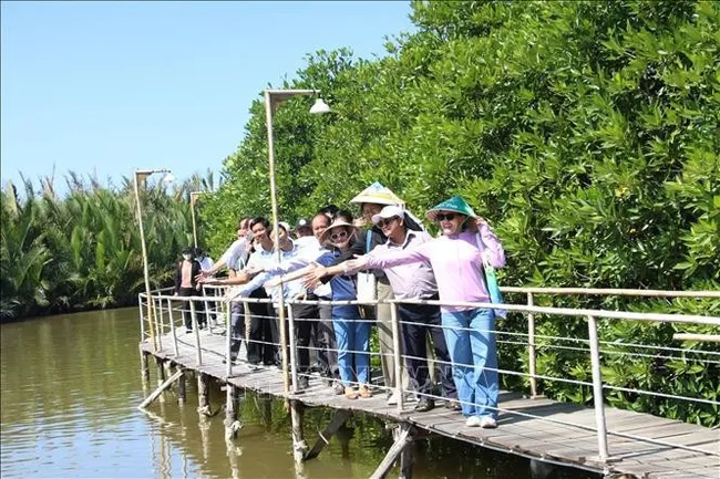Tourists visit mangrove forests in the coastal commune of An Hoa, Vinh Long province. (Photo: VNA)