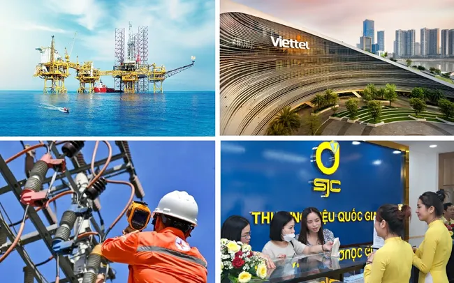 20 "ông lớn" nhà nước bước vào đường đua tái cơ cấu vốn