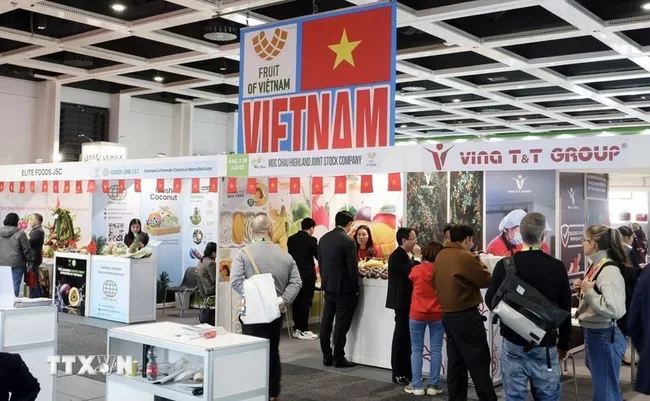 A view of the Vietnamese exhibition area at the Fruit Logistica 2026 trade fair (Photo: VNA)