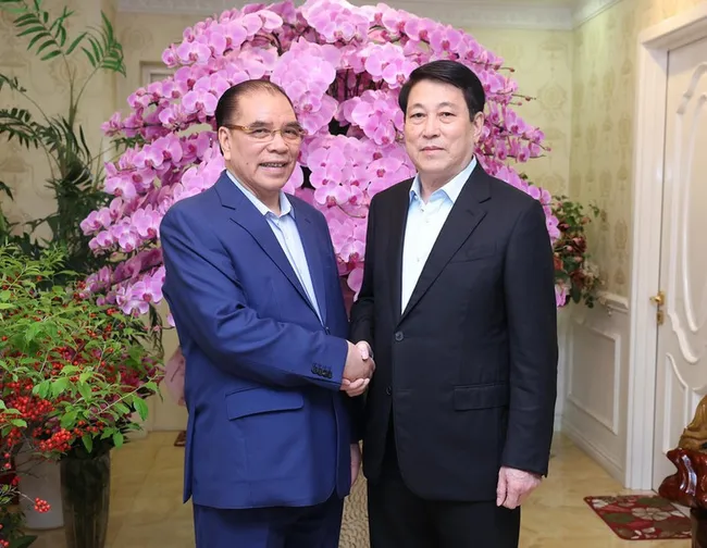 State President Luong Cuong (R) and former Party General Secretary Nong Duc Manh in Ha Noi on February 2. (Photo: VNA)