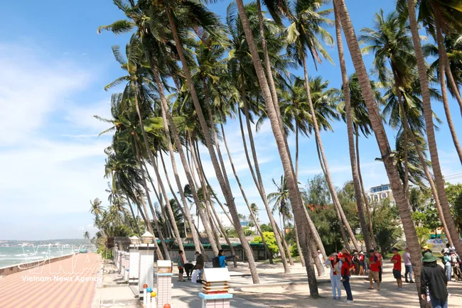 Beneath cool, lush coconut groves along the coastline, visitors are immersed in the natural beauty of Rang – Mui Ne. (Photo: VNA)