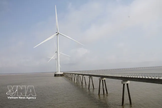 Wind turbines in Ca Mau province operate with a total capacity of over 1,610 MW per year. (Photo: VNA)