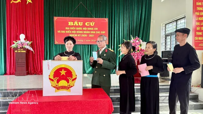 Vietnamese voters cast their ballots (Photo: VNA)