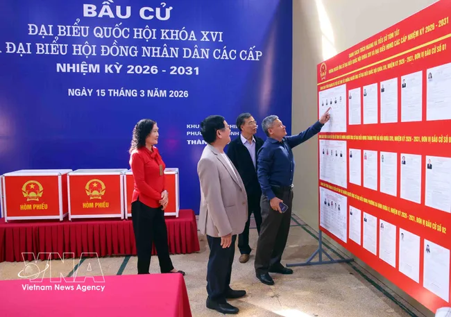 Voters study information of candidates before the polling day. (Photo: VNA)