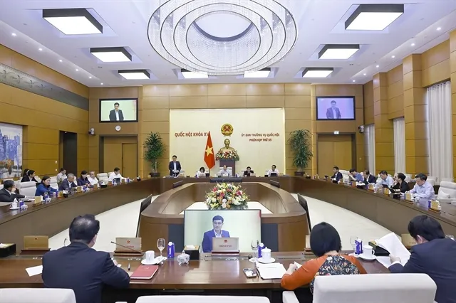 At the meeting (Photo: VNA)