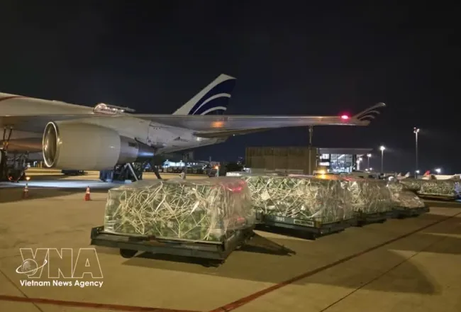The shipments are unloaded at the airport. (Photo: VNA broadcasts)