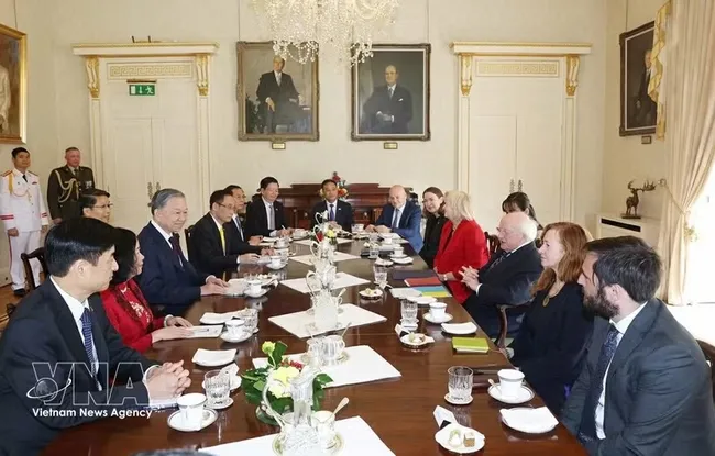 Party General Secretary and State President To Lam holds talks with Irish President Michael D. Higgins in Dublin on October 2, 2024. (Photo: VNA)