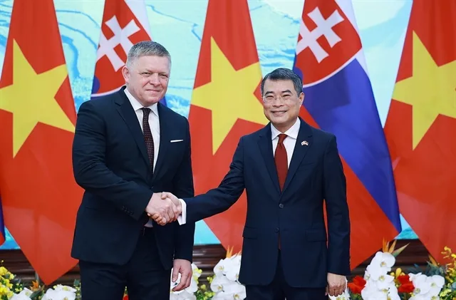 PM Lê Minh Hưng hold talks with Slovak PM Robert Fico. — VNA/VNS Photo Dương Giang