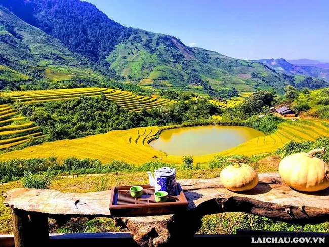Terraced fields