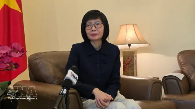 Ambassador Ton Thi Ngoc Huong, Permanent Representative of Vietnam to ASEAN grants an interview to the Vietnam News Agency. (Photo: VNA)