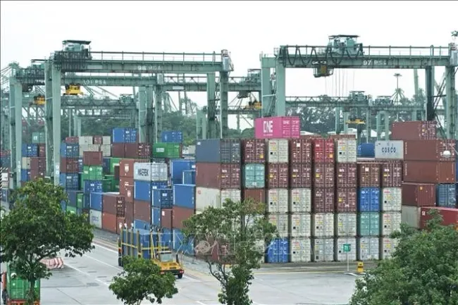A view of a container port in Singapore. (File photo: Xinhua/VNA)