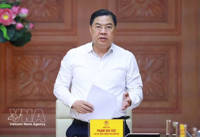 Permanent Deputy Prime Minister Pham Gia Tuc (Photo: VNA)