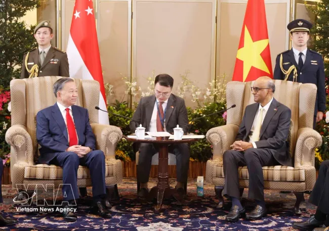 Party General Secretary and State President To Lam (L) and Singaporean President Tharman Shanmugaratnam at their talks on May 29. (Photo: VNA)