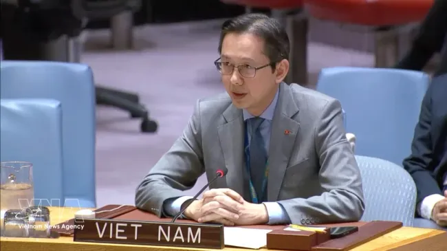 Ambassador Do Hung Viet, Permanent Representative of Vietnam to the UN, speaks at the discussion. (Photo: VNA)