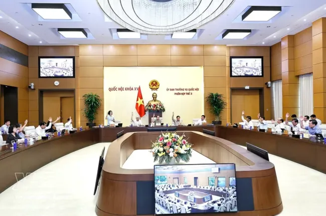 The National Assembly Standing Committee votes to approve a draft resolution. (Photo: VNA)