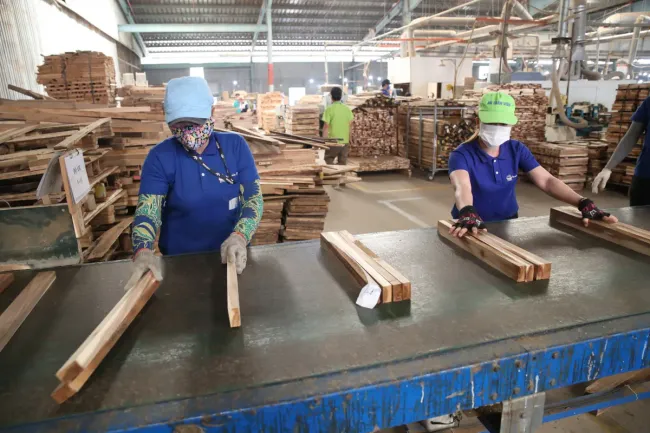 Kinh tế TP Hồ Chí Minh: Tín dụng hỗ trợ doanh nghiệp tăng hơn 14%, gỡ nút thắt tiếp cận vốn