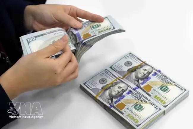 The daily reference exchange rate is set at 25,206 VND/USD on June 30. (Photo: VNA)
