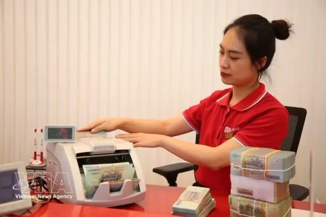 The State Bank of Vietnam sets the daily reference exchange rate at 25,195 VND/USD on June 26. (Photo: VNA)