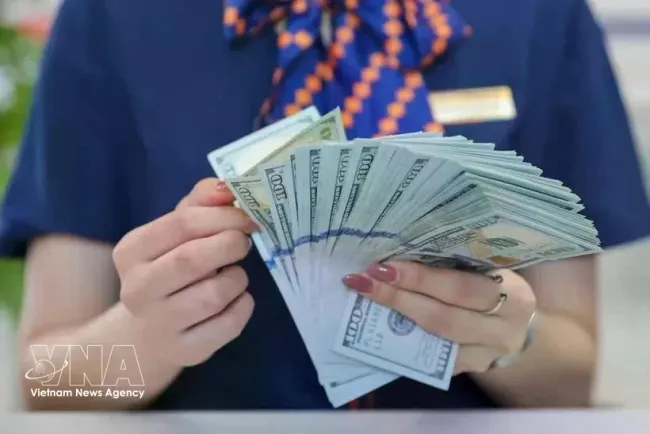 The State Bank of Vietnam sets the daily reference exchange rate at 25,183 VND/USD on June 22. (Photo: VNA)