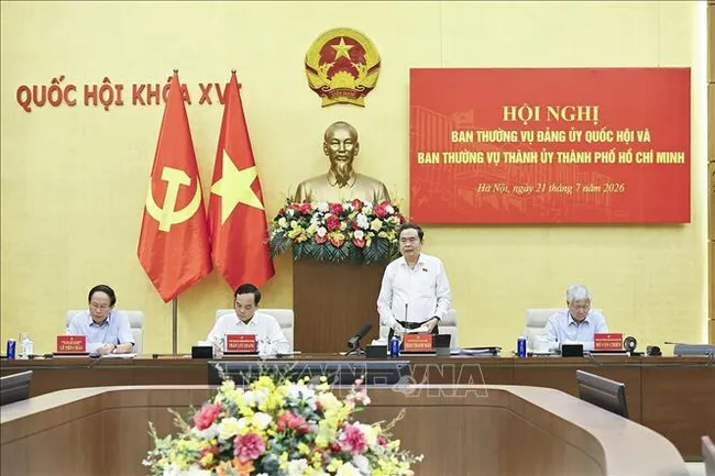National Assembly Chairman Tran Thanh Man (standing) addresses the meeting between the Standing Board of the NA Party Committee and the Standing Board of the Ho Chi Minh City Party Committee on July 21. (Photo: VNA)