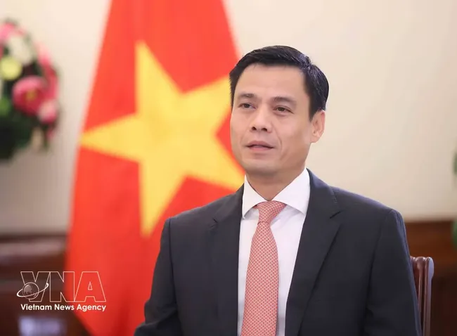 Deputy Minister of Foreign Affairs Dang Hoang Giang (Photo: VNA)