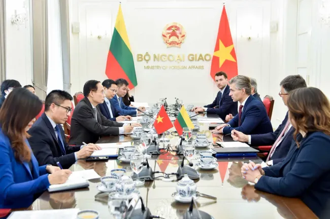 At the talks between Vietnamese Minister of Foreign Affairs Le Hoai Trung and Lithuanian Minister of Foreign Affairs Kestutis Budrys in Hanoi on July 28. (Photo: Courtesy of Vietnamese Ministry of Foreign Affairs)
