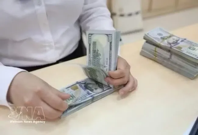 The State Bank of Vietnam set the daily reference exchange rate at 25,586 VND/USD on August 17. (Photo: VNA)