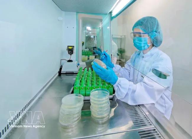 Nestlé Bong Sen Factory in Hung Yen applies digital technology to green production. (Photo: VNA)
