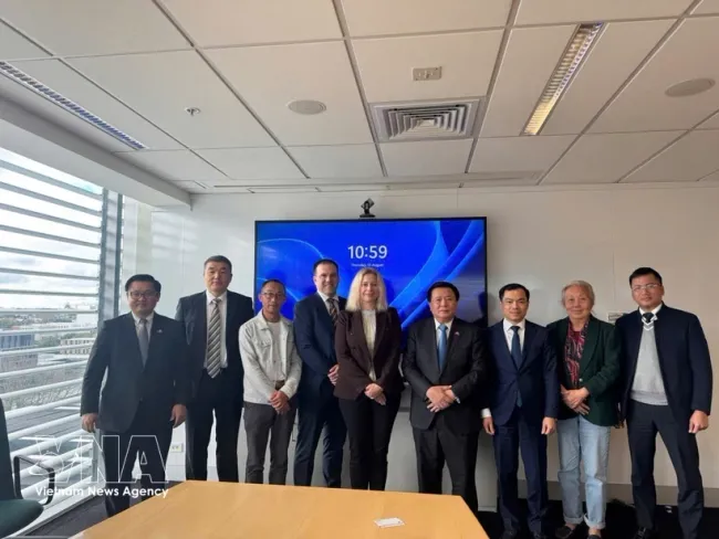 Participants at the working session between the delegation from the Ho Chi Minh National Academy of Politics (HCMA) and the Central Council for Theoretical Studies and NZAI leaders. (Photo: VNA)