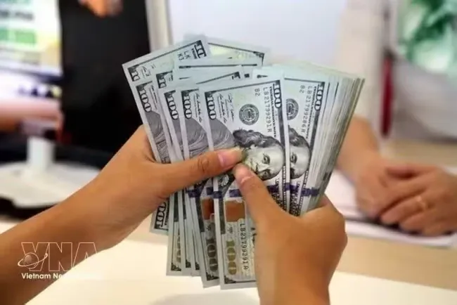 The daily reference exchange rate is set at 25,641 VND/USD on September 25. (Photo: VNA)