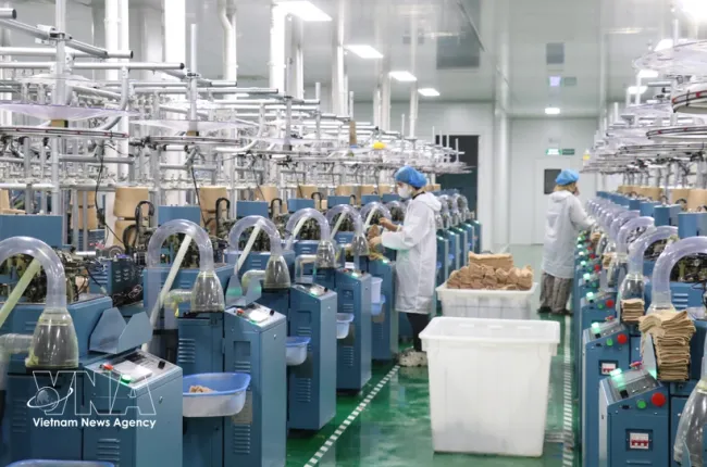 Production activities at an FDI enterprise in Tay Ninh province (Illustrative photo: VNA)