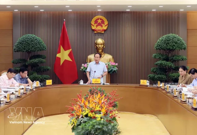 Deputy Prime Minister Le Tien Chau speaks at the meeting. (Photo: VNA)