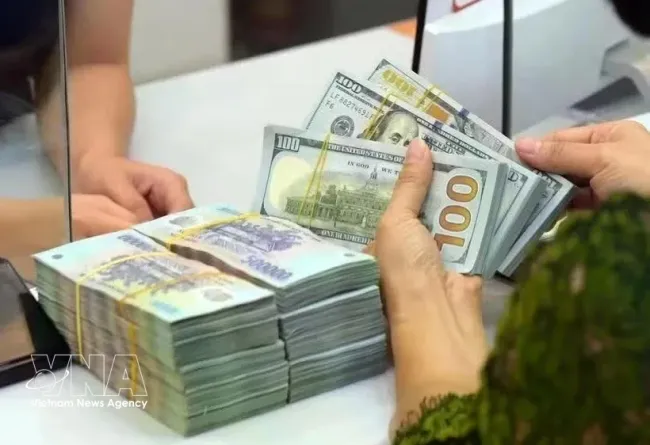 The State Bank of Vietnam sets the daily reference exchange rate at 25,642 VND/USD on October 15. (Photo: VNA)