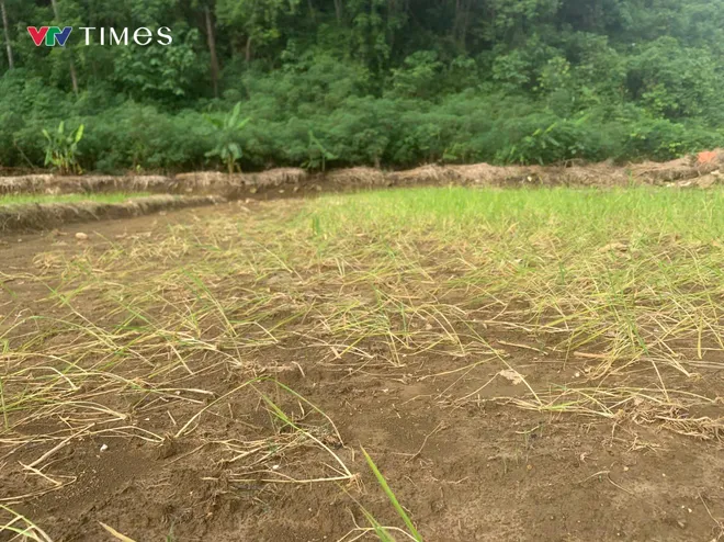 Lai Ch&acirc;u: Kh&oacute; khăn khắc phục hậu quả thi&ecirc;n tai - Ảnh 2.