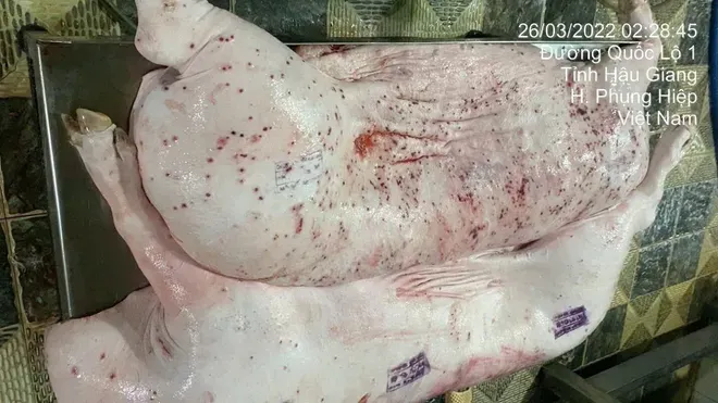 Không khởi tố "Vi phạm quy định về an toàn thực phẩm" đối với công ty C.P - Ảnh 1.