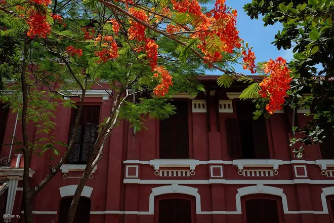 Một ngày dễ thương ở xứ Huế- Ảnh 8. Một ngày dễ thương ở xứ Huế- Ảnh 8.