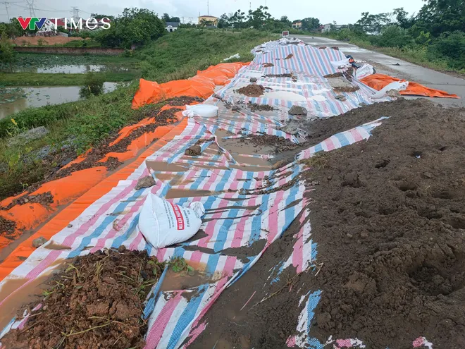Đê hữu cầu Hà Nội lún nứt: Giám đốc sở yêu cầu khắc phục khẩn - Ảnh 2.