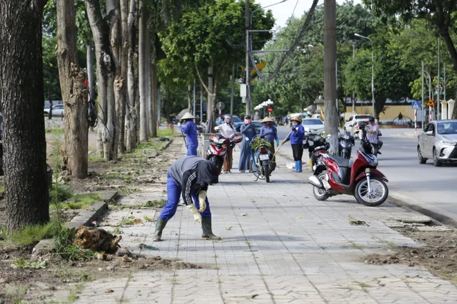 Ninh B&igrave;nh: Đảng bộ phường Hoa Lư chuẩn bị Đại hội điểm &ndash; T&acirc;m thế mới, kỳ vọng mới - Ảnh 9.