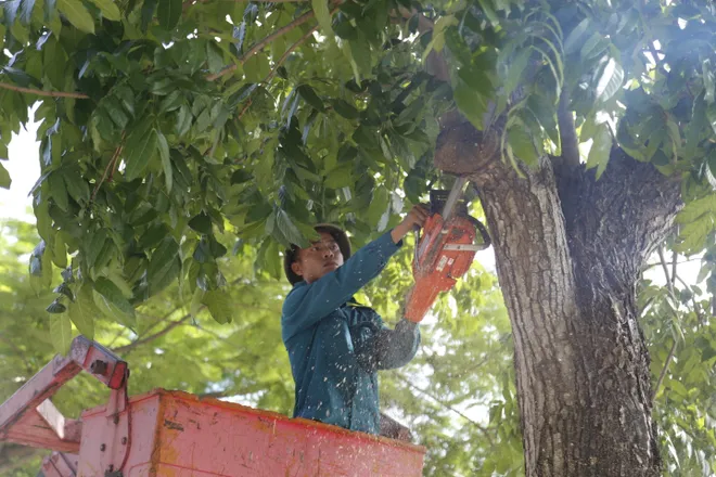 Ninh B&igrave;nh: Đảng bộ phường Hoa Lư chuẩn bị Đại hội điểm &ndash; T&acirc;m thế mới, kỳ vọng mới - Ảnh 8.