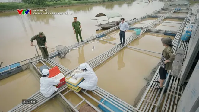 C&oacute; anh, nơi ấy b&igrave;nh y&ecirc;n - Tập 16: Xu&acirc;n l&agrave; người chủ giấu mặt của trại lợn - Ảnh 10.