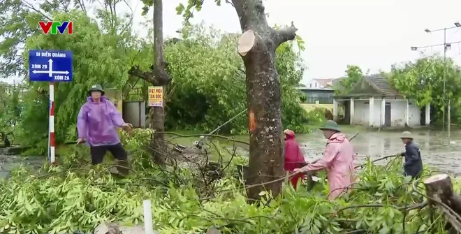 Nghệ An: Tập trung khắc phục hậu quả bão số 5 - Ảnh 3.