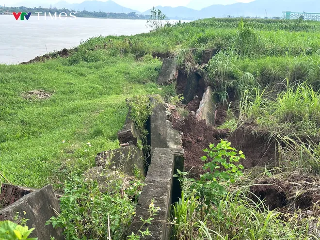 Phú Thọ: Sạt lở nghiêm trọng bờ sông Đà thuộc địa phận xã Tu Vũ - Ảnh 3.