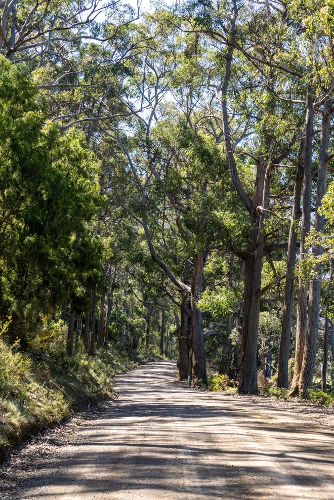 Bruny Island: Hành trình khám phá thiên nhiên hoang sơ và cực quang kỳ ảo - Ảnh 3.