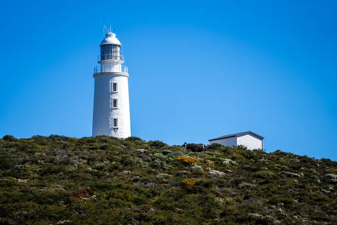 Bruny Island: Hành trình khám phá thiên nhiên hoang sơ và cực quang kỳ ảo - Ảnh 7.