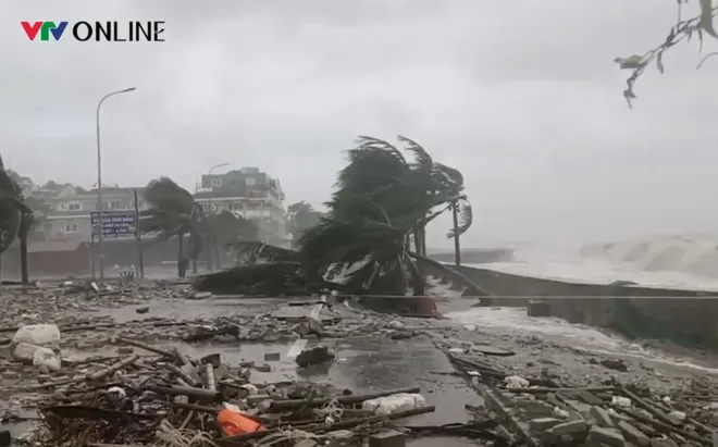 Những h&igrave;nh ảnh lay động h&agrave;ng triệu tr&aacute;i tim trong b&atilde;o Bualoi - Ảnh 4.